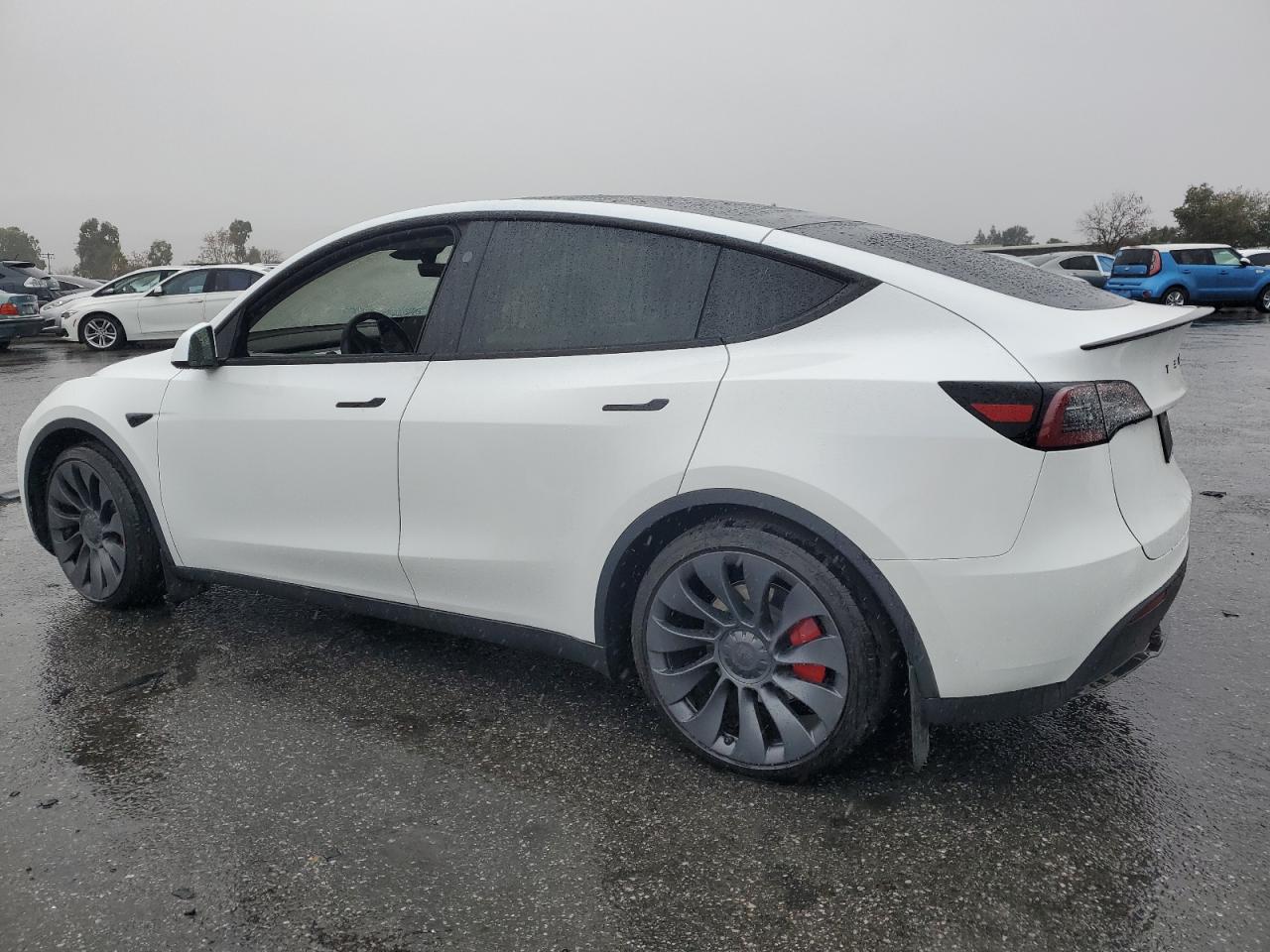 Lot #3033213812 2024 TESLA MODEL Y