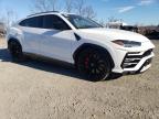 LAMBORGHINI URUS снимка