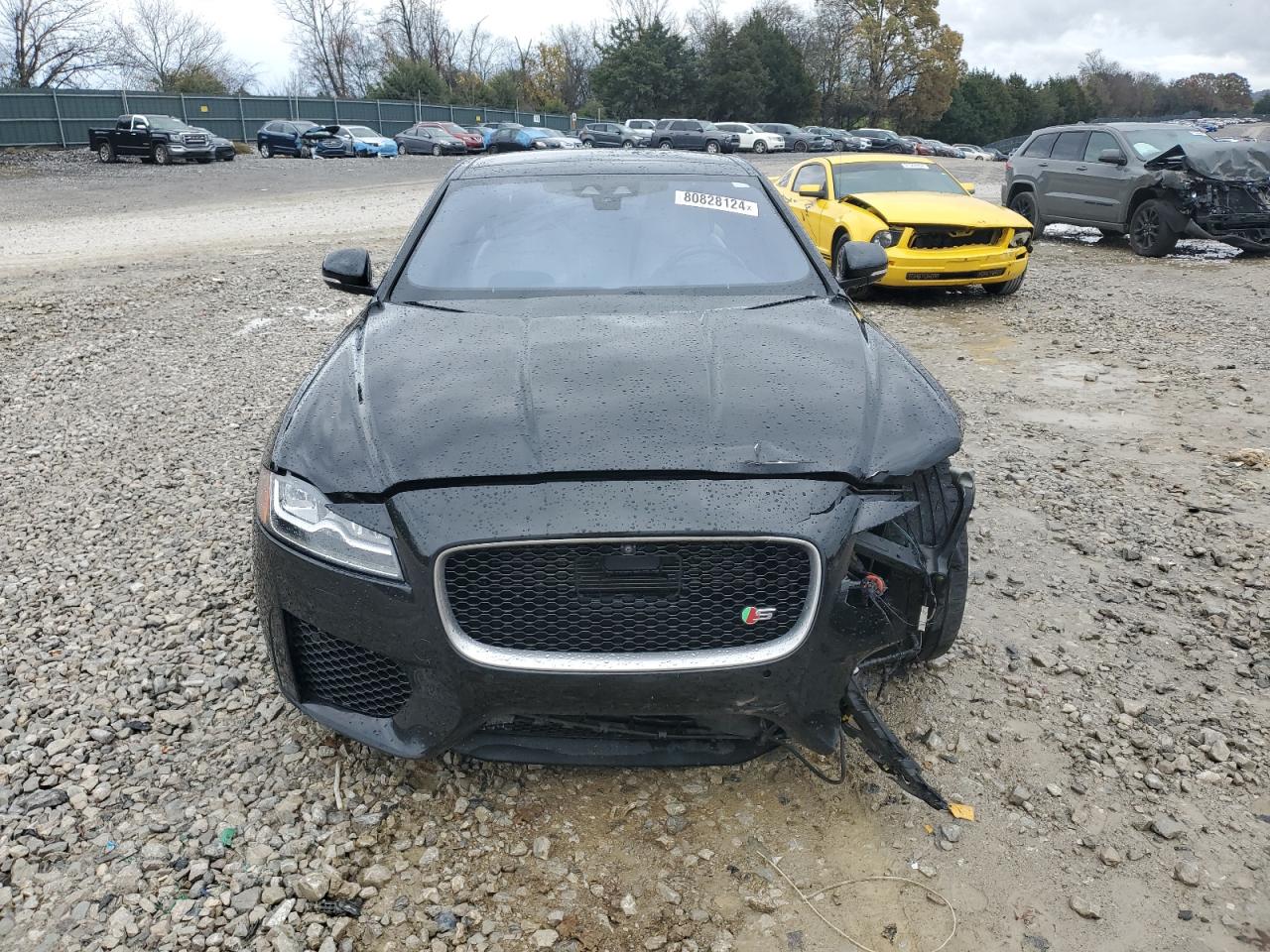 Lot #3024909366 2016 JAGUAR XF S