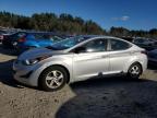 HYUNDAI ELANTRA SE photo