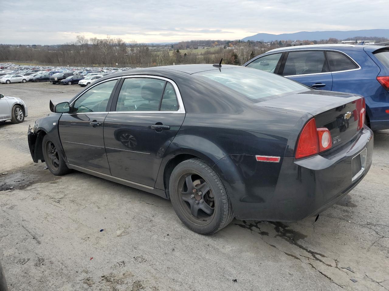 Lot #3029664077 2008 CHEVROLET MALIBU 1LT