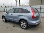 HONDA CR-V EXL photo