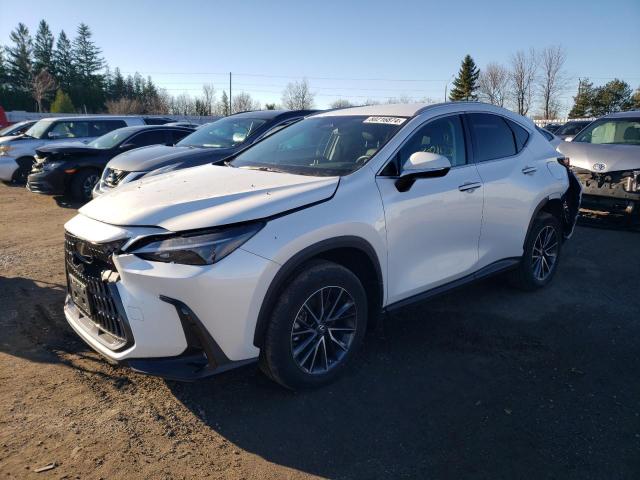 Vin: 2t2adcez7pc003569, lot: 80216874, lexus nx 250 250 2023 img_1