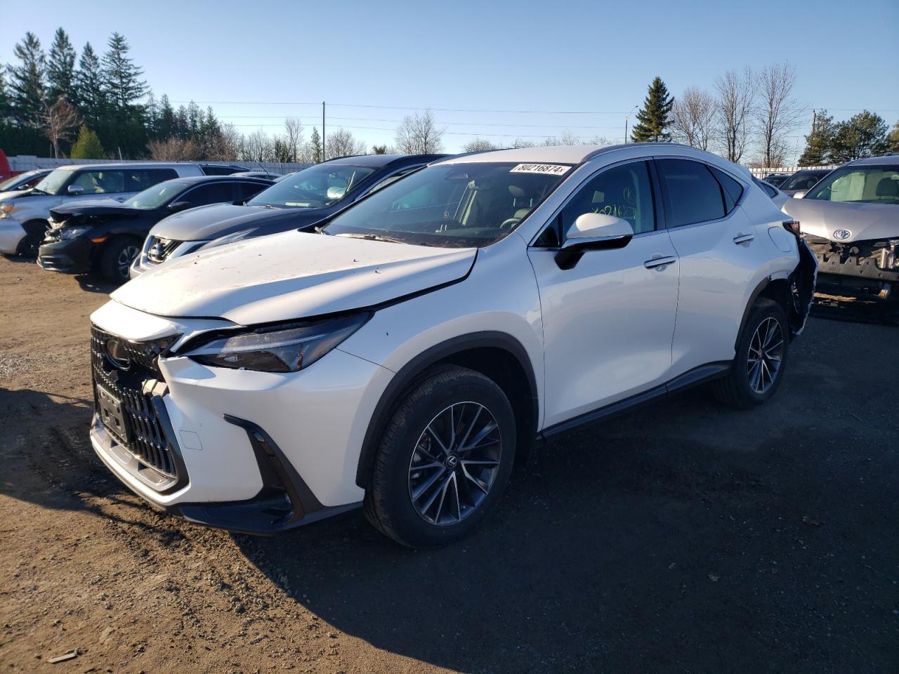 LEXUS NX 250