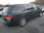 HONDA ODYSSEY EX photo