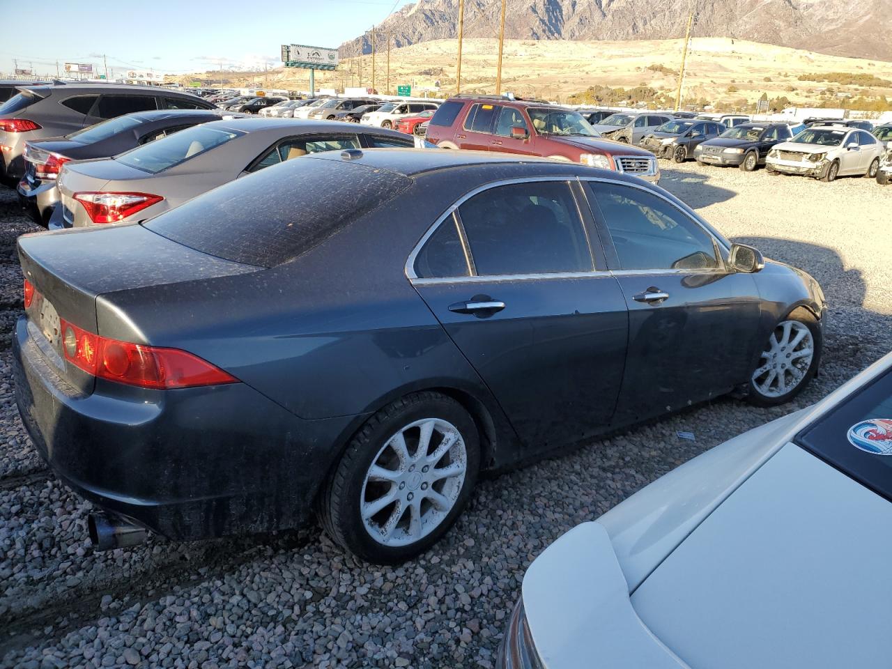 Lot #3026280274 2007 ACURA TSX