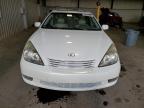 LEXUS ES 300 photo