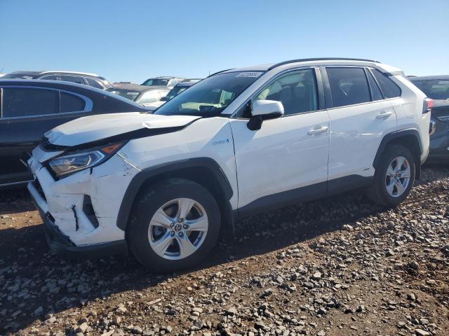 2019 TOYOTA RAV4 XLE #3029572100