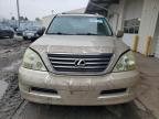 Lot #3023867851 2006 LEXUS GX 470