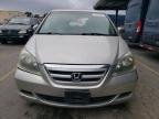 Lot #3025696322 2005 HONDA ODYSSEY EX