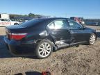 Lot #3024579653 2008 LEXUS LS 460