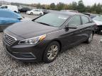2016 HYUNDAI SONATA SE - 5NPE24AF2GH367330