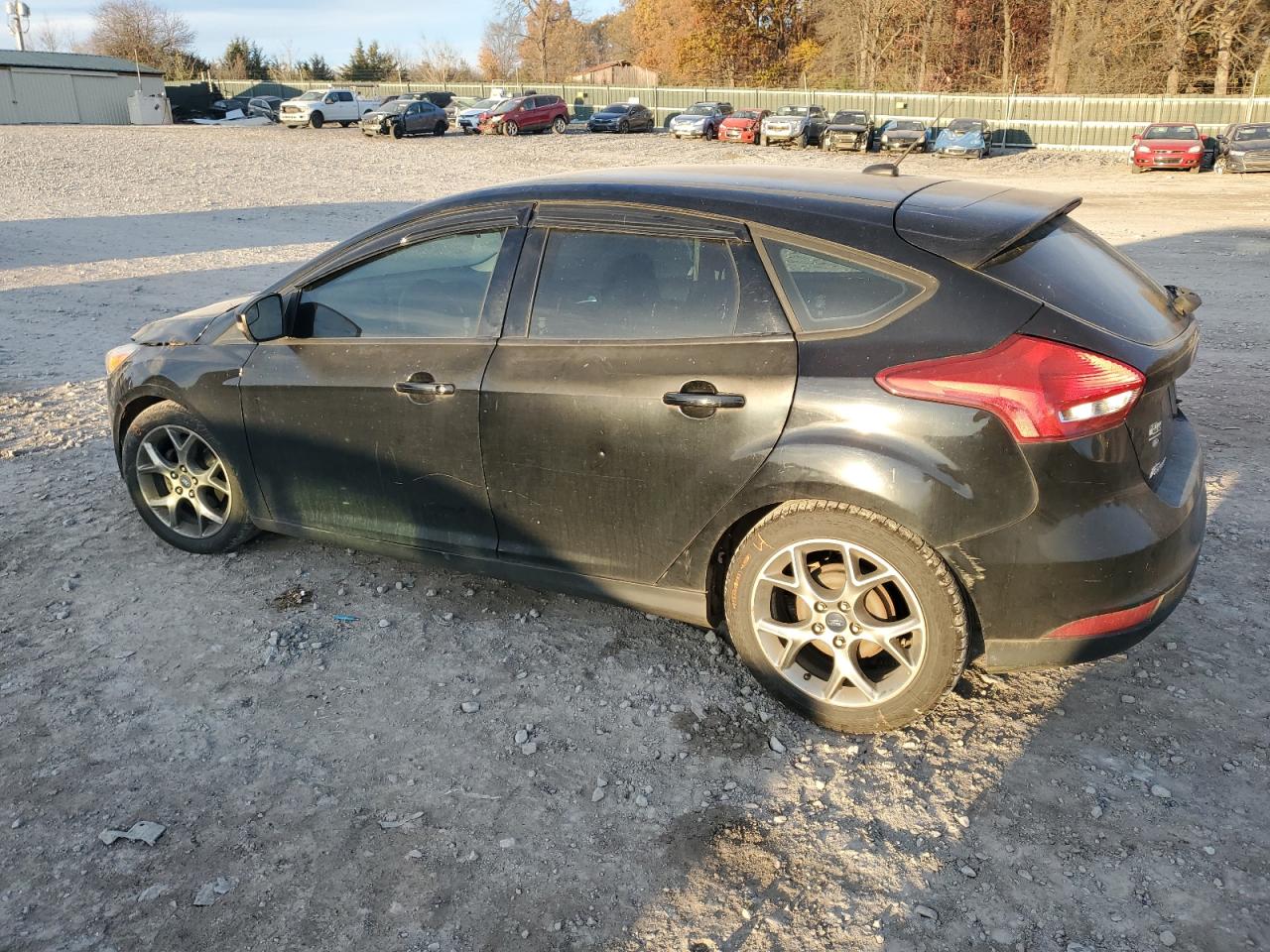 Lot #3027088802 2016 FORD FOCUS SE