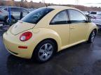 Lot #3004460734 2006 VOLKSWAGEN NEW BEETLE