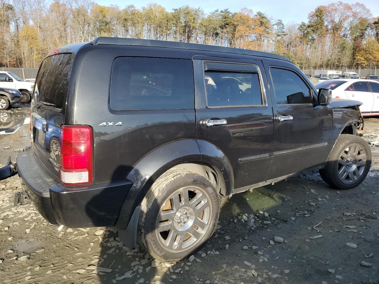 Lot #3029578080 2010 DODGE NITRO SXT