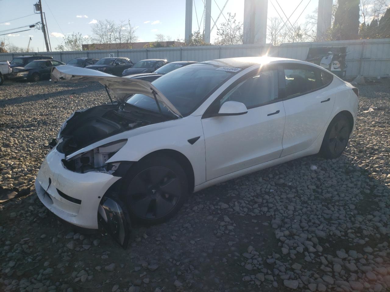 Lot #3033331819 2021 TESLA MODEL 3