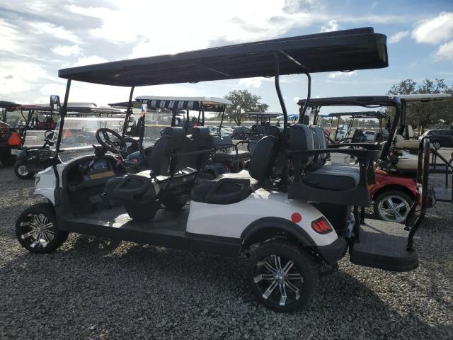 ASPT GOLF CART 2021 white   FLA116842 photo #4