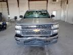 Lot #3025131188 2014 CHEVROLET SILVERADO