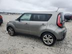 KIA SOUL + photo