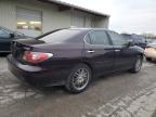 Lot #3024753241 2003 LEXUS ES 300