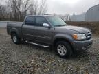 Lot #3023813899 2006 TOYOTA TUNDRA DOU