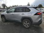 Lot #3041009430 2023 TOYOTA RAV4 XLE