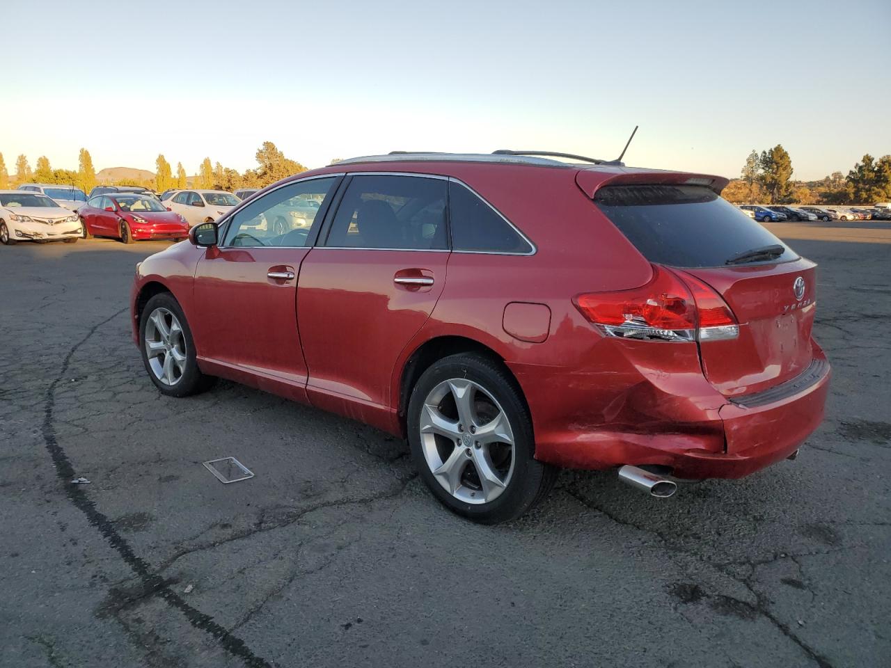 Lot #2989127626 2009 TOYOTA VENZA