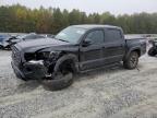 Lot #3024701600 2023 TOYOTA TACOMA DOU