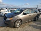 HONDA ODYSSEY EX photo