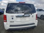 HONDA PILOT EXL photo