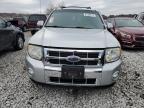 Lot #3004455819 2009 FORD ESCAPE LIM