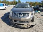 Lot #3024581635 2015 CADILLAC SRX LUXURY