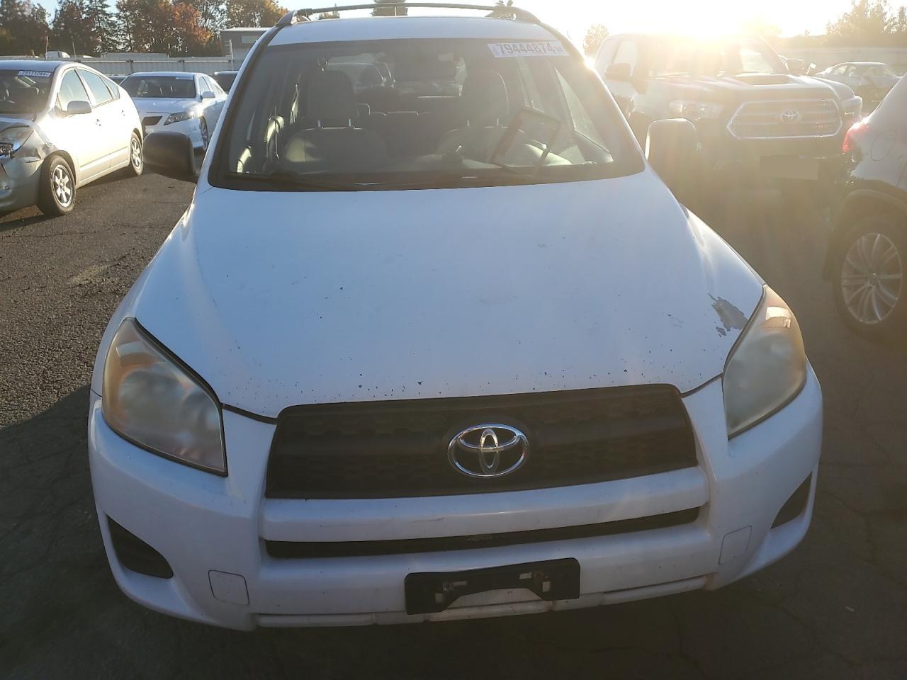 Lot #2974801242 2009 TOYOTA RAV4