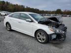 Lot #3024733241 2018 HYUNDAI SONATA SPO