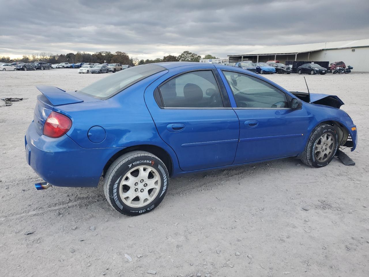 Lot #2969979966 2004 DODGE NEON SXT