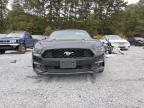 Lot #3033131997 2017 FORD MUSTANG