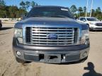 FORD F150 SUPER photo