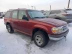 Lot #3023447341 1996 FORD EXPLORER