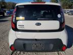 KIA SOUL + photo