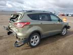 Lot #2959955316 2013 FORD ESCAPE SE