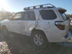 Lot #3024591577 2022 TOYOTA 4RUNNER SR