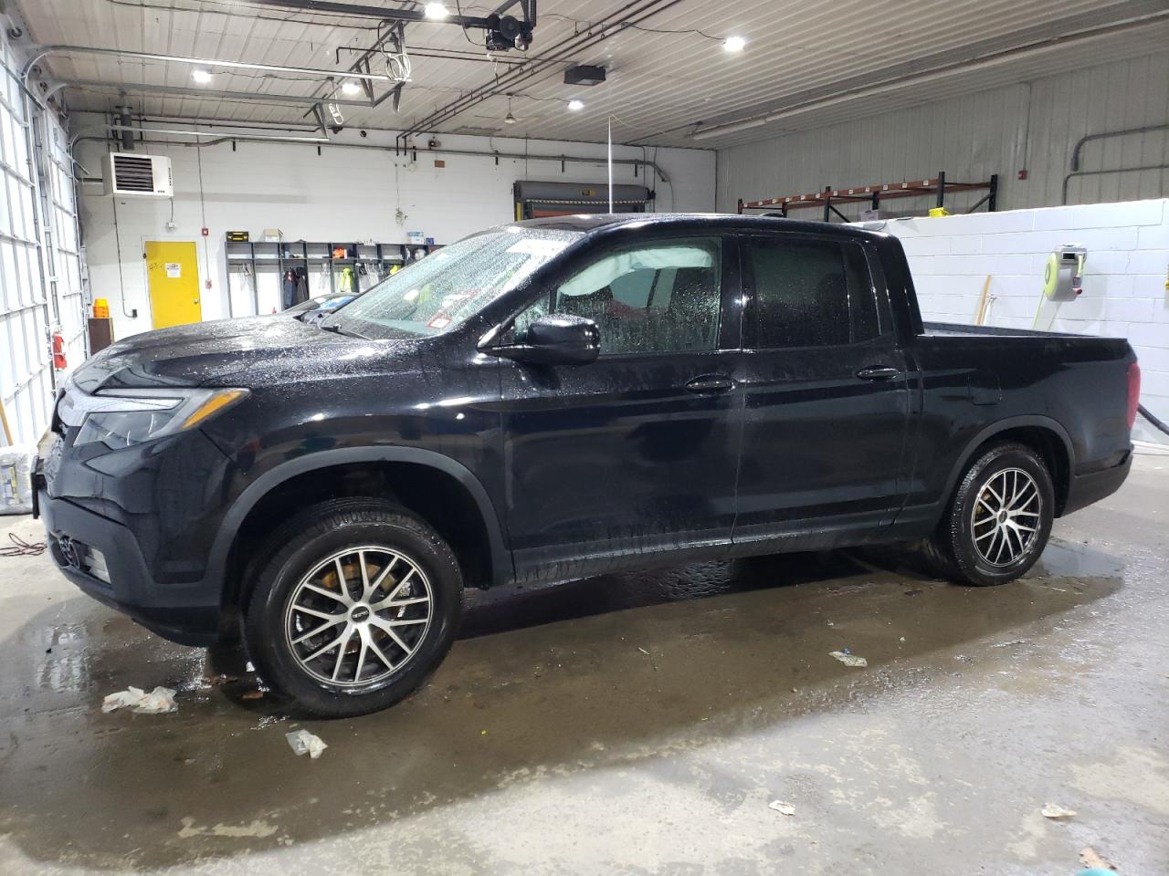 Lot #2972423528 2017 HONDA RIDGELINE