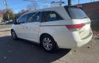 HONDA ODYSSEY EX photo