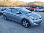 Lot #3023433271 2013 HYUNDAI ELANTRA GL