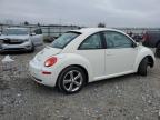 Lot #3027161279 2008 VOLKSWAGEN NEW BEETLE