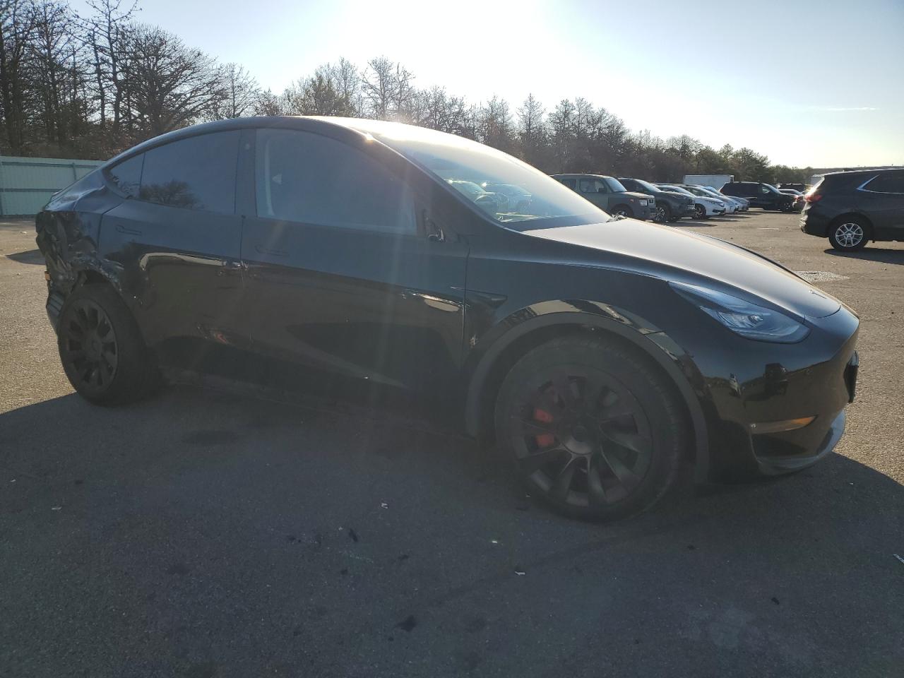 Lot #3033239886 2022 TESLA MODEL Y