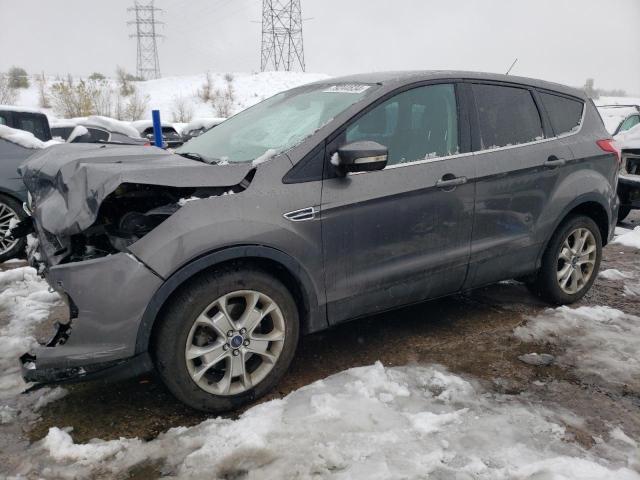 FORD ESCAPE SEL 2013 gray  gas 1FMCU9H97DUD40409 photo #1