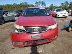 KIA FORTE EX photo