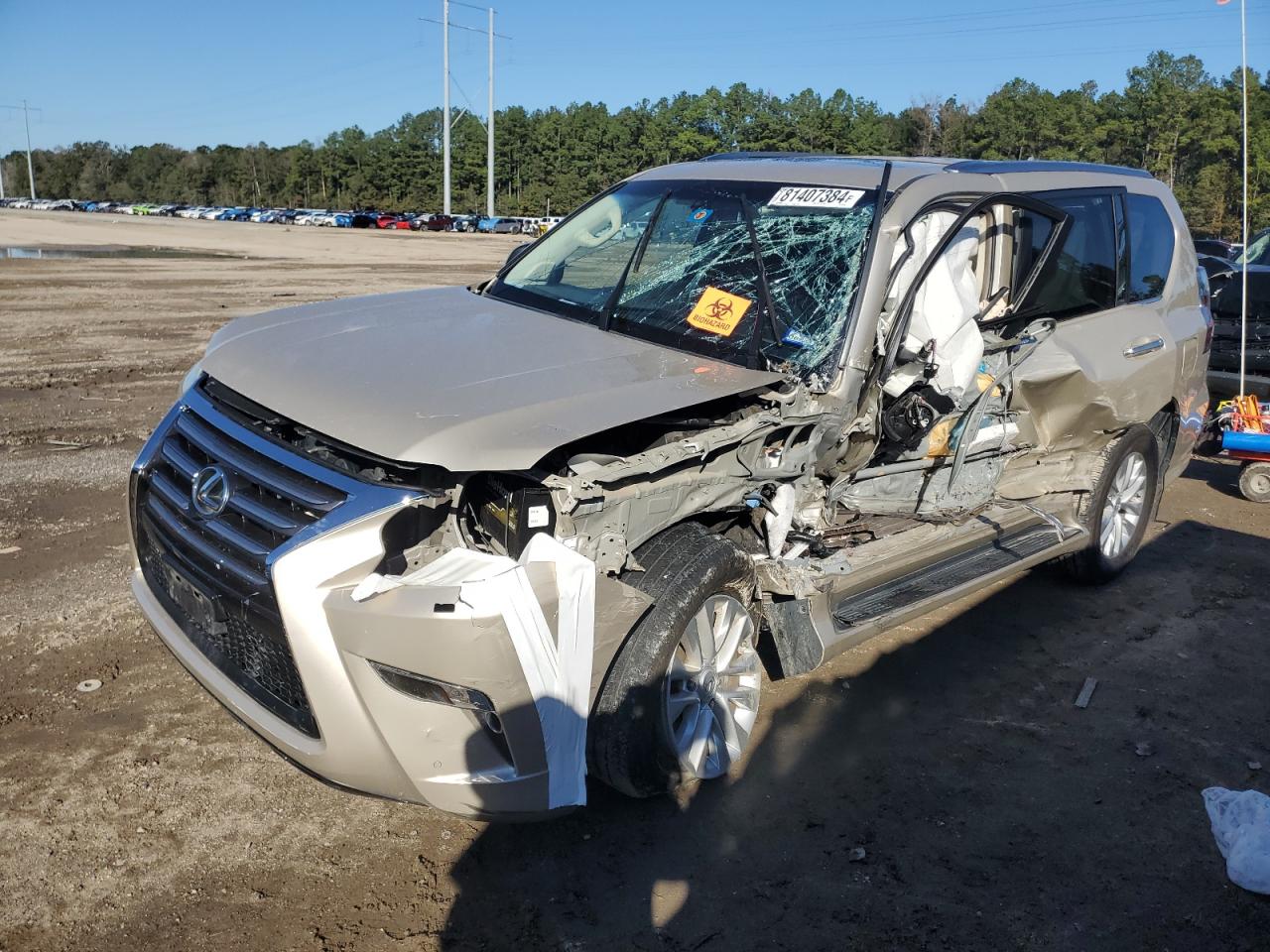 LEXUS GX 460