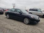 Lot #3023823907 2014 HONDA ACCORD EXL